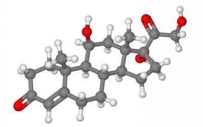 cortisol molecular model